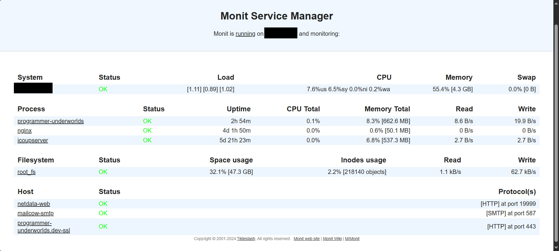 Página do monit com recursos monitorados.